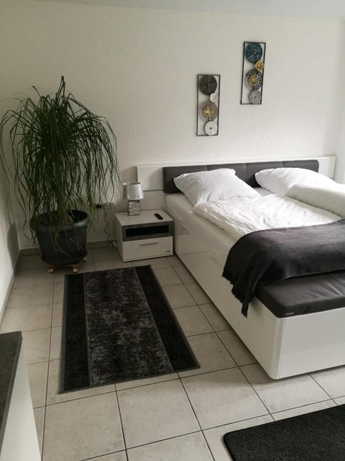 Ferienapartment "Vier Pfoten" In Korbach Exteriör bild